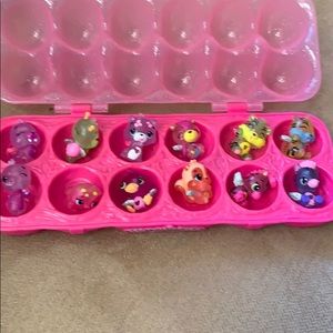 12 pack hatcimals